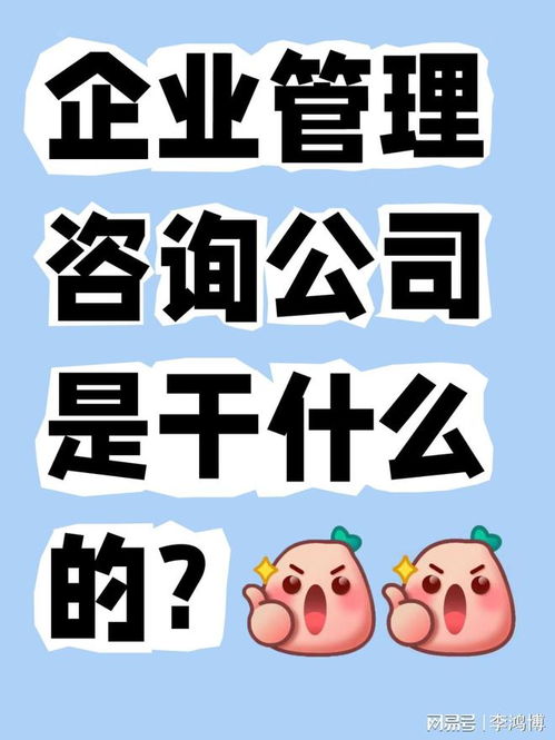 企业管理咨询公司是干什么的