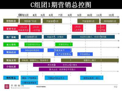 【[精选]世联_安徽合肥万振房地产项目市场营销策划总纲_104页】PPT讲稿